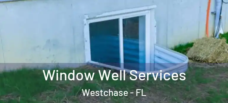  Window Well Services Westchase - FL